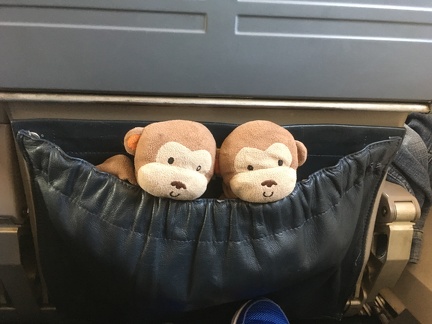 Monkeys on a plane
